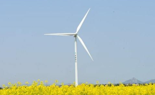 1508725560987013352.png image.png